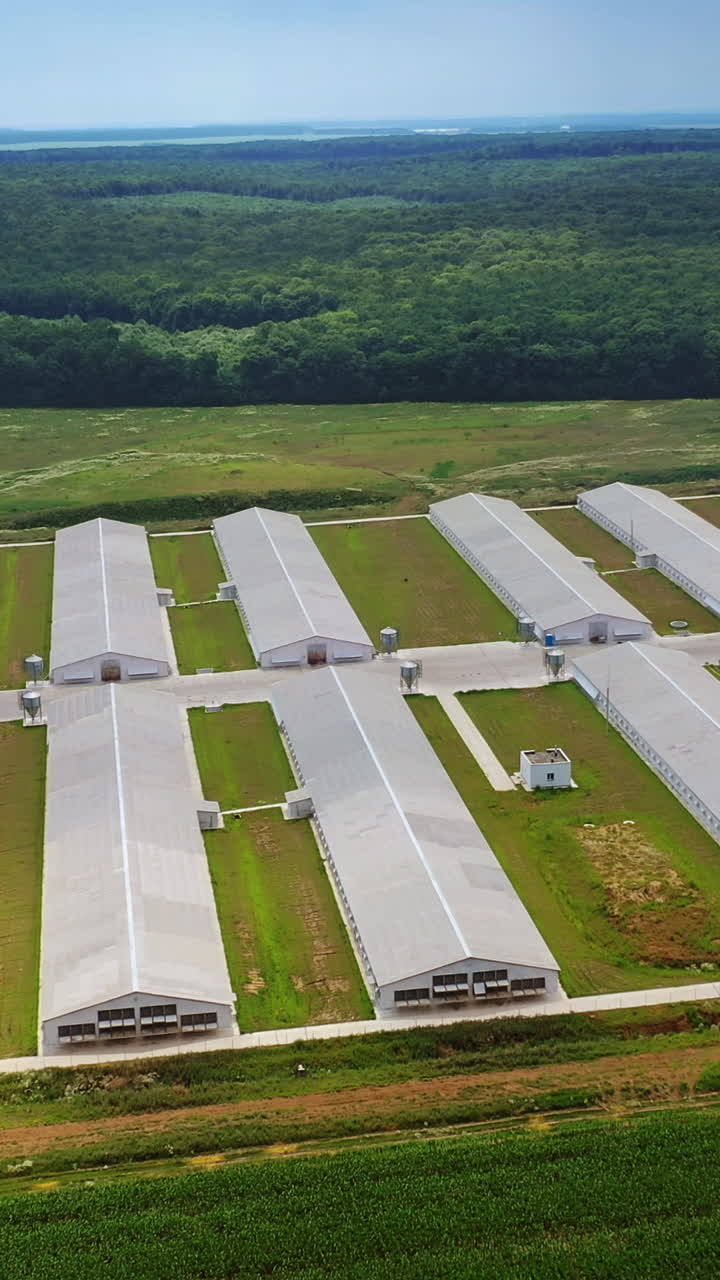 Flying near the modern farm for poultry in rural place. Aerial view to the new agricultural complex for farming in a sunny day. Vertical video
