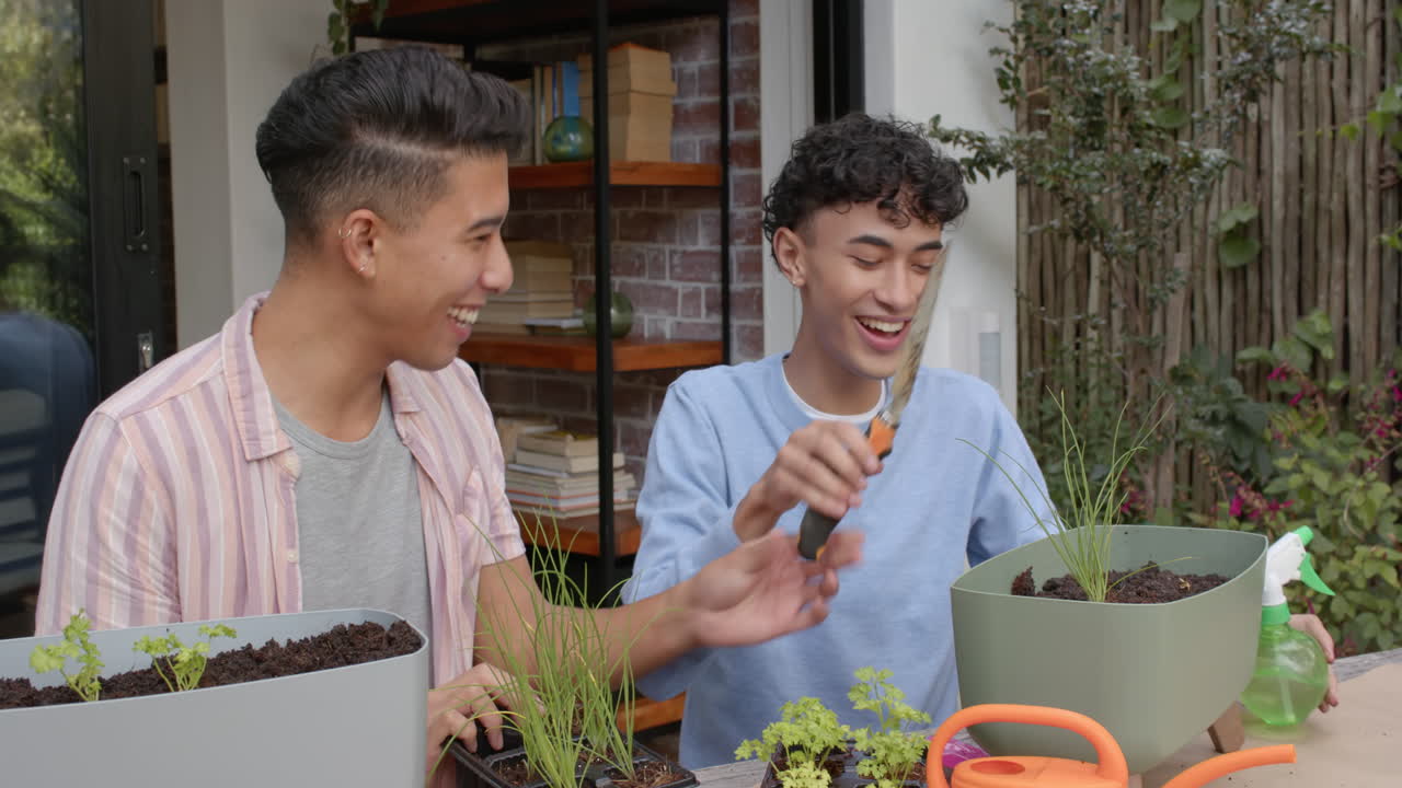 Planting herbs together, multiracial gay couple smiling and enjoying gardening at home