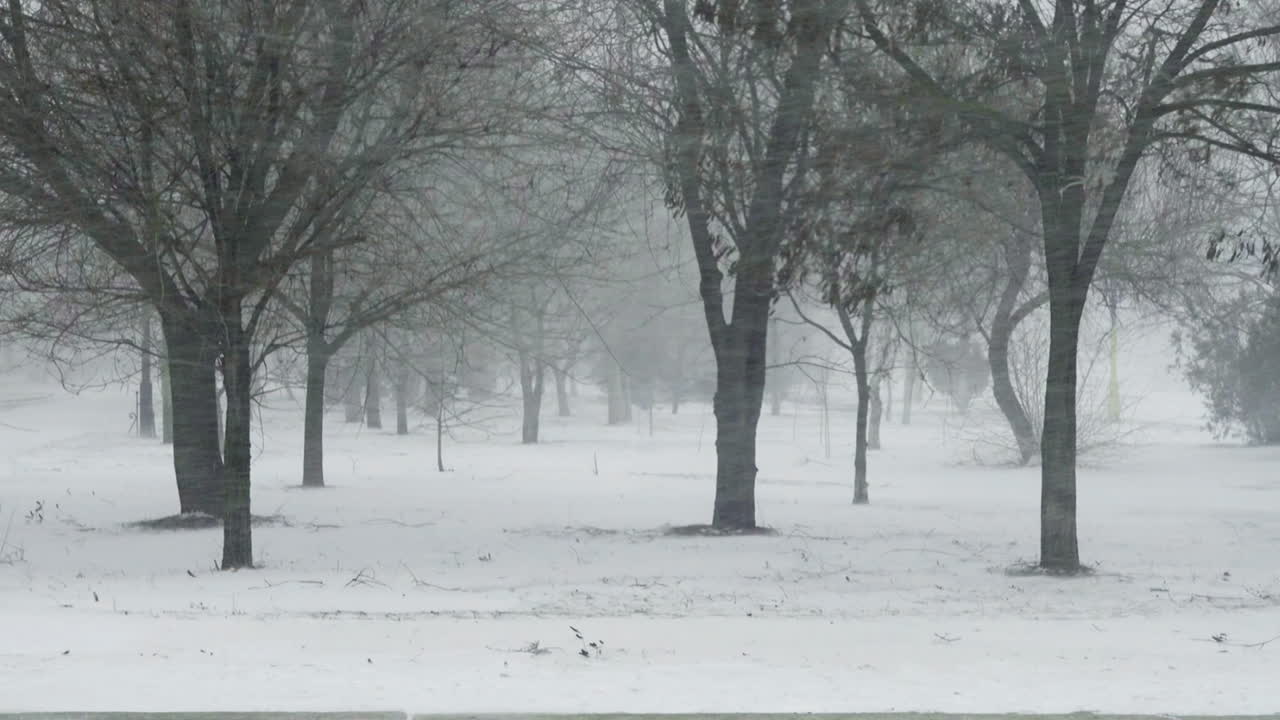 Blizzard in the city. Shooting in the winter