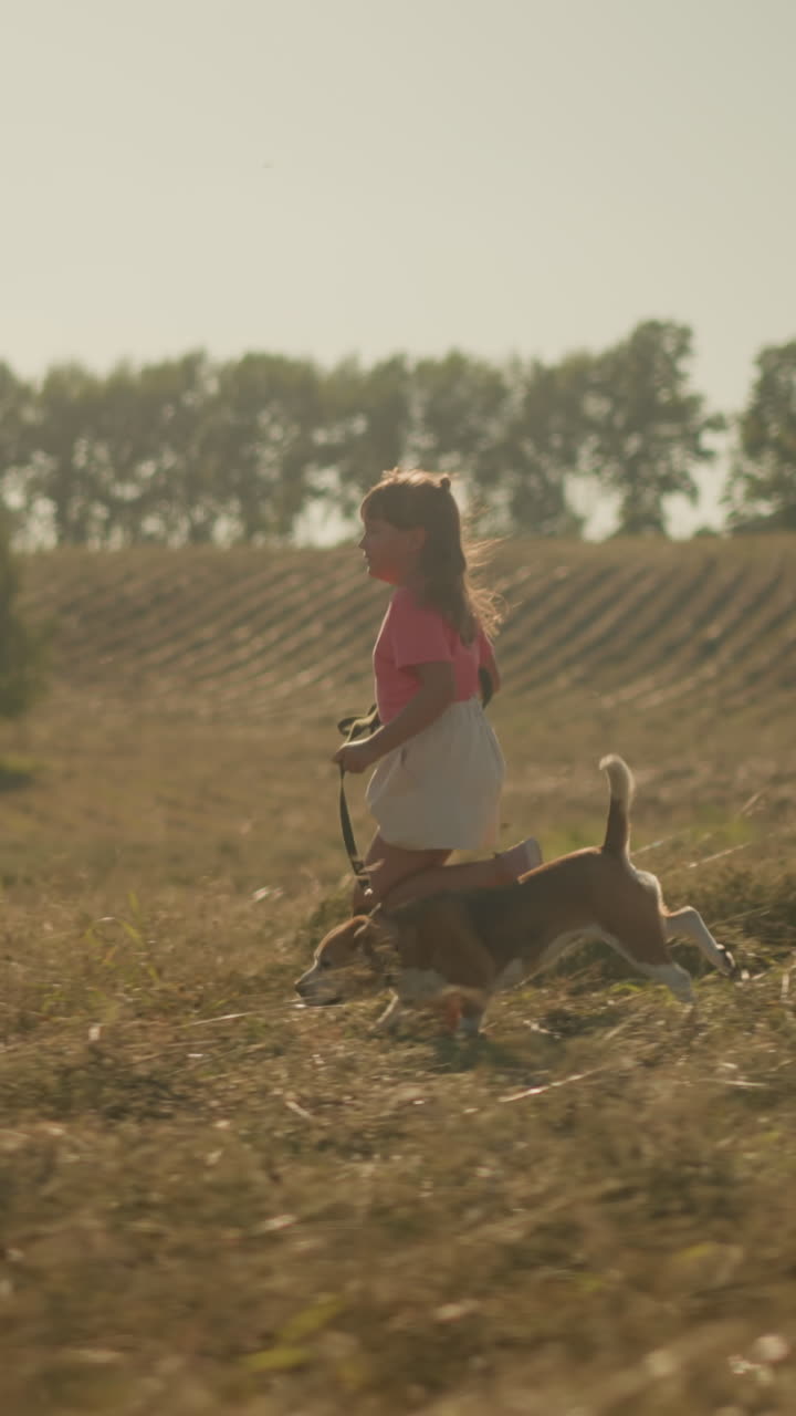 어린 소녀는 개와 함께 줄을 고 열린 농장을 통해 즐겁게 달려가며, 무모한 어린 시절, 애완동물과의 강한 유대감, 야외 모험에 대한 사랑을 포착합니다.