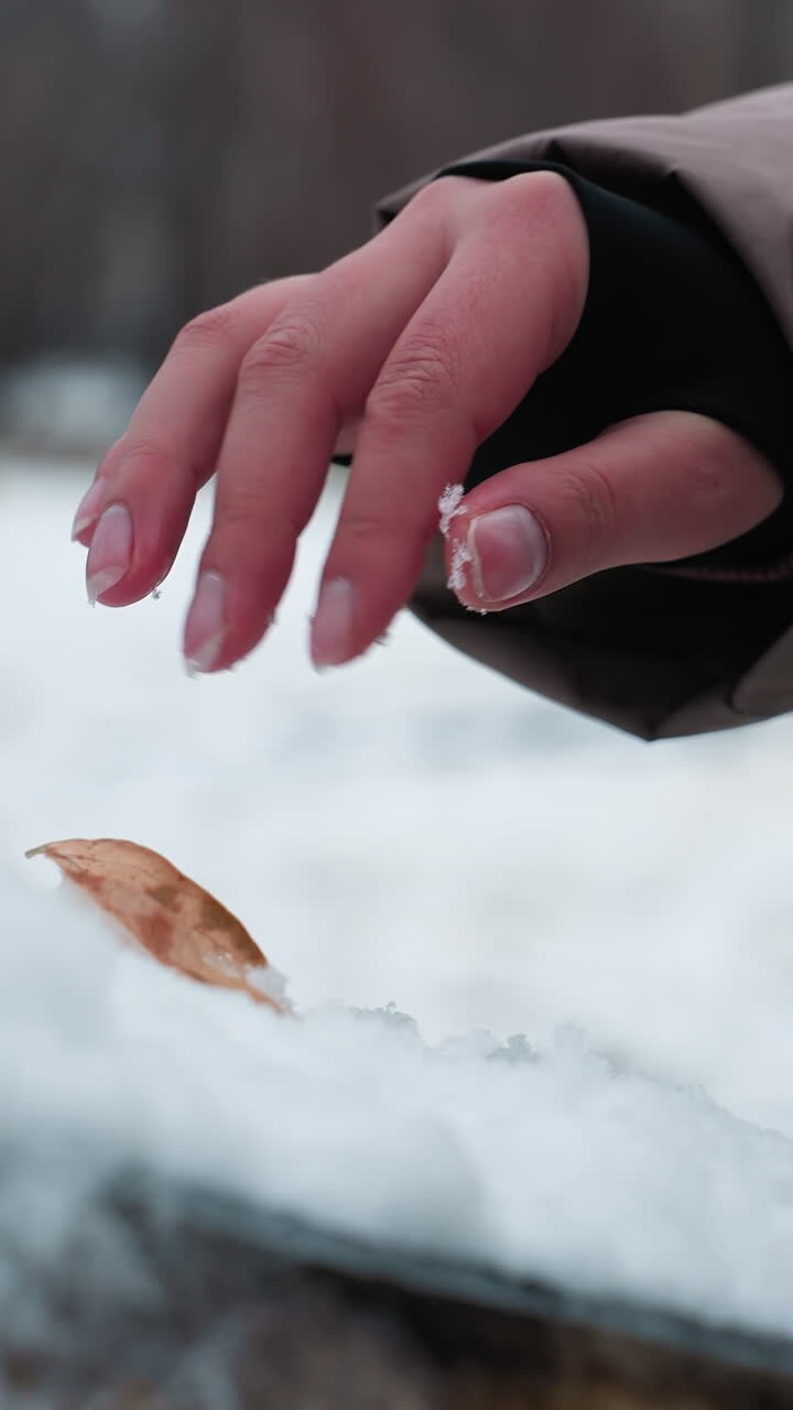 Close-up of hand playing with soft snow on a wooden surface during winter, person in warm clothing gently picks up snowflakes, with dry leaves scattered around