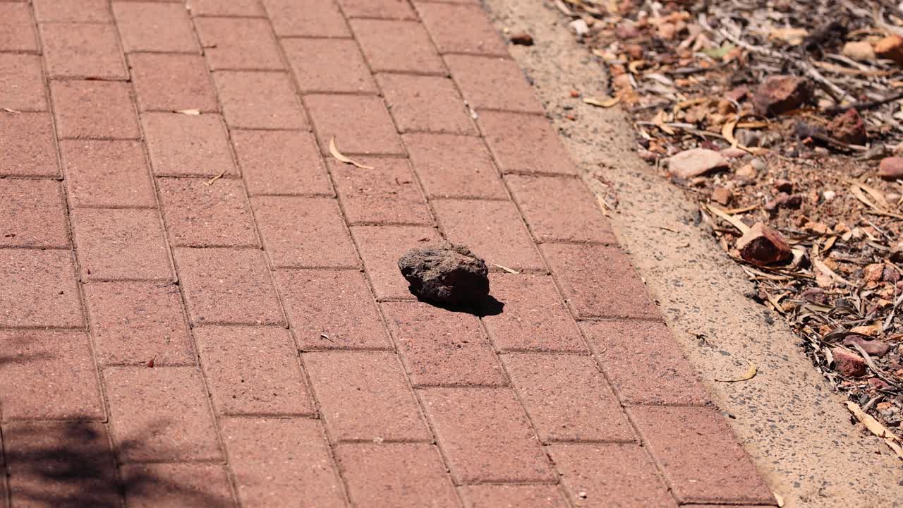 바위 가 포장 된 산책로 를 따라 떨어지는 것