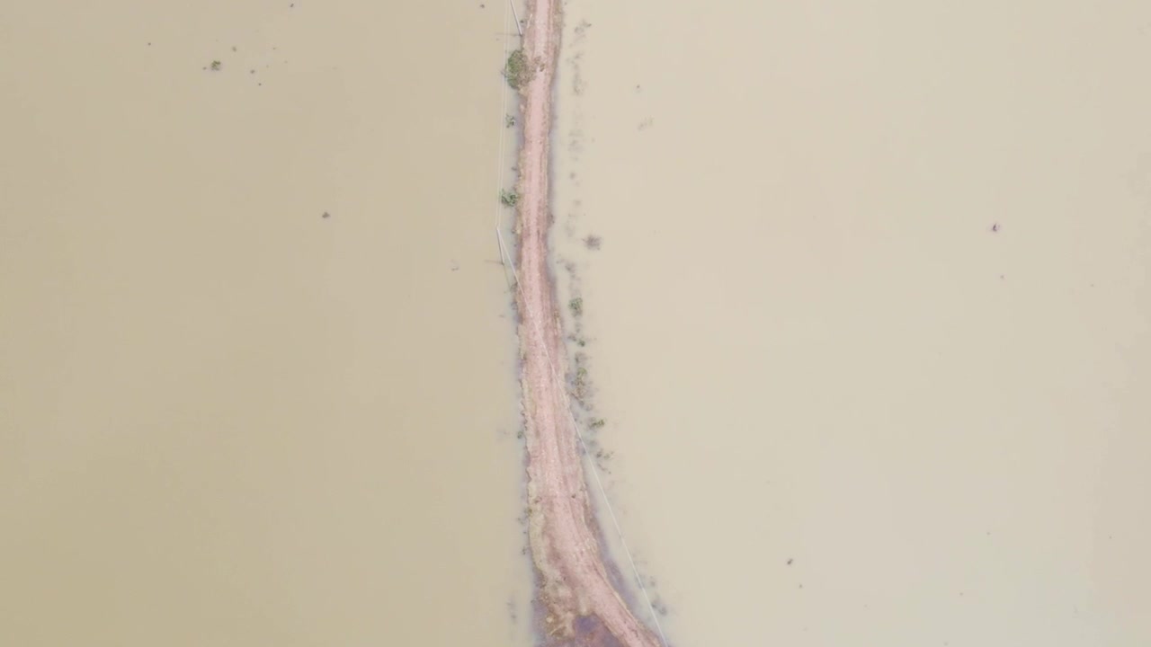 Aerial: Lonely narrow village road surrounded flood water in Bangladesh - top down forwarding shot.