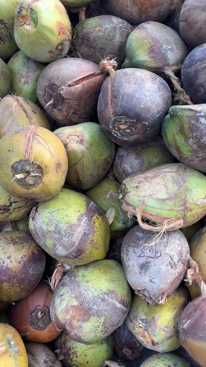Primo piano di una grande pila di noci di cocco