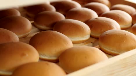 production of confectionery products. buns for burgers on a baking line