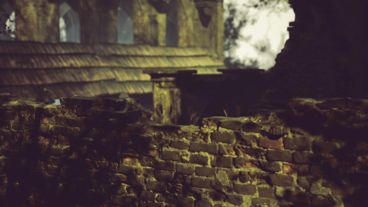 Blurry rooftop and textured bricks with moody tones for editorial