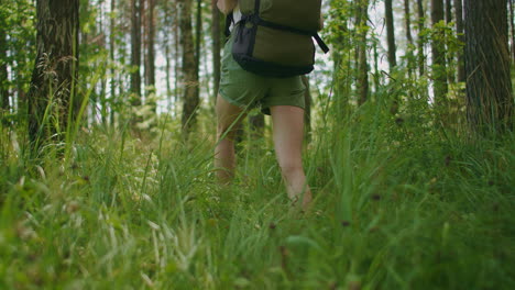 ver a una mujer caminando en zapatillas de deporte en la hierba en el bosque explorando la naturaleza y la belleza. las piernas en zapatillas de deporte van en la hierba