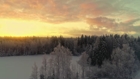 Atardecer-De-Cielo-Dorado-Sobre-Bosque-Europeo-Remoto,-Paisaje-Cubierto-De-Nieve,-Drone