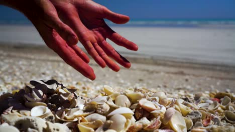 male caucasian hands pick up and drop pile of shells on beach, close up