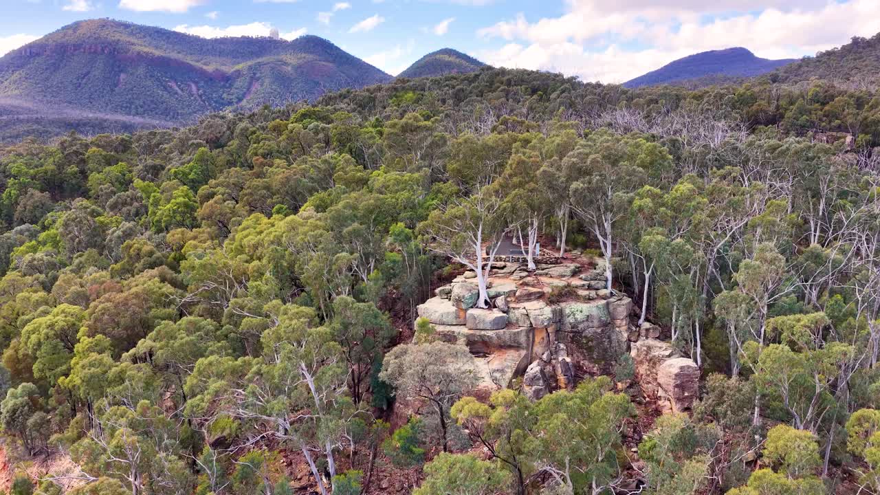 Drone glides above dense eucalyptus forest, revealing rocky outcrop and distant mountains under bright daylight in Warrumbungle National Park, Coonabarabran, Australia