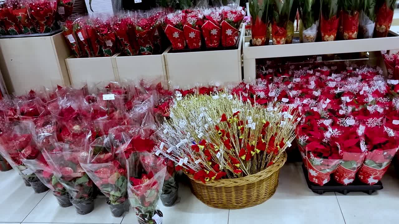 크리스마스 축하 시간