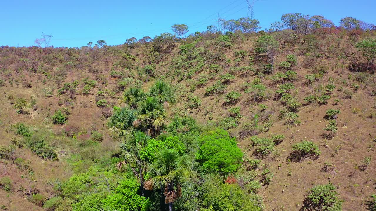 Aerial perspective revealing water sources nurturing verdant greenery amid parched terrain of Brazilian Cerrado, contrasting barren surroundings with vibrant ecological zones
