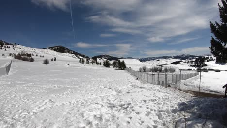 Time-lapse-of-wolves-near-a-fence