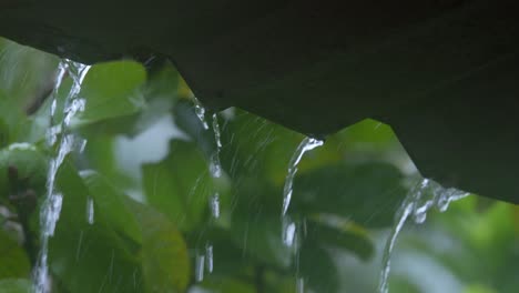 rain-water-falling-from-roof-top-shade-uhd