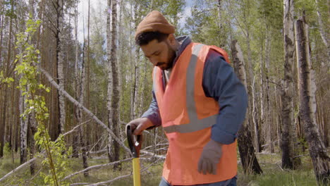 african american and arab men ecologist activists pushing the shovel in the ground to plant a tree in the forest