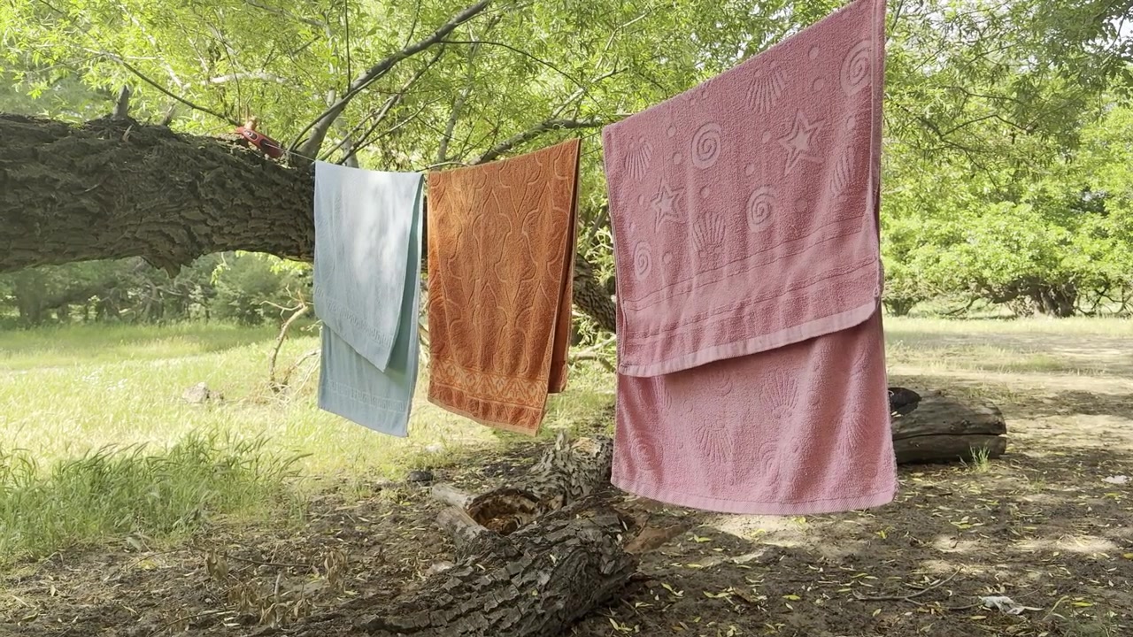 Three colorful towels hang on a makeshift clothesline made from a tree branch, gently swaying in the breeze amidst a lush green natural setting