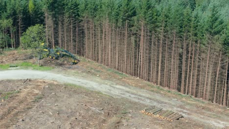 aerial, birds eye view drone footage of cleared land and deforestation in a forest with cut down trees and cut tree trunks