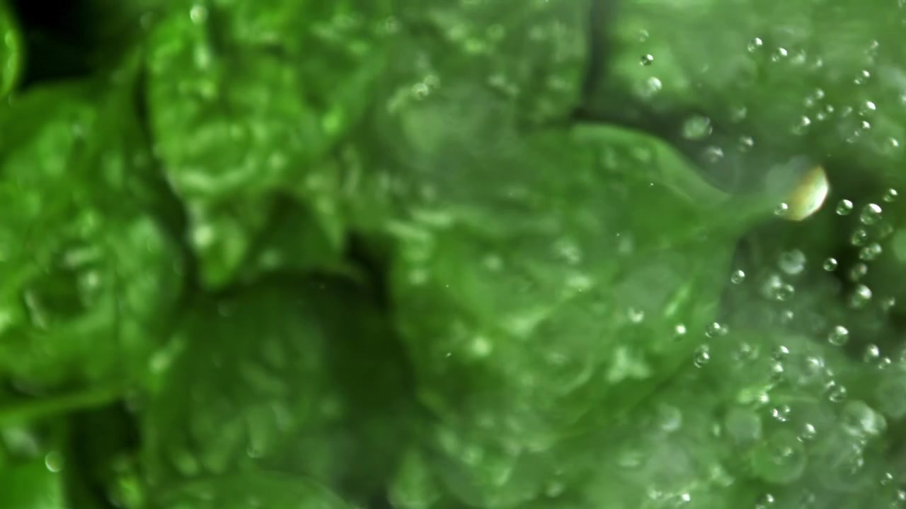 Gotas de agua brillantes flotando sobre un fondo de hoja verde