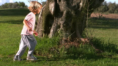 child running around a large tree