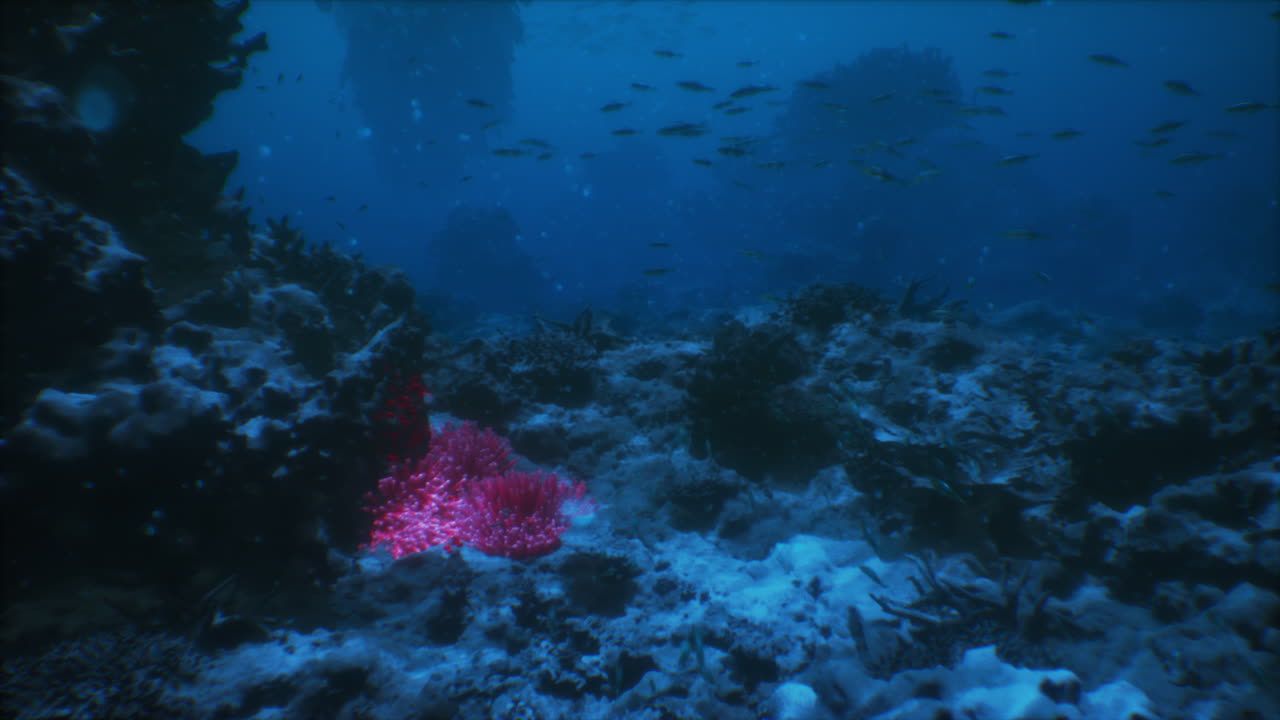 Exploring a vibrant underwater world filled with colorful coral and marine life