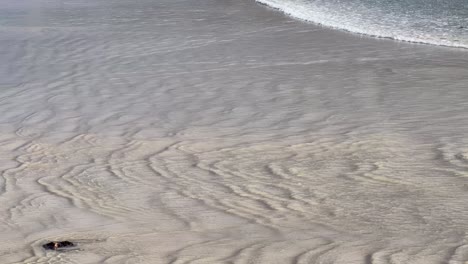 ripples in the sand on beach