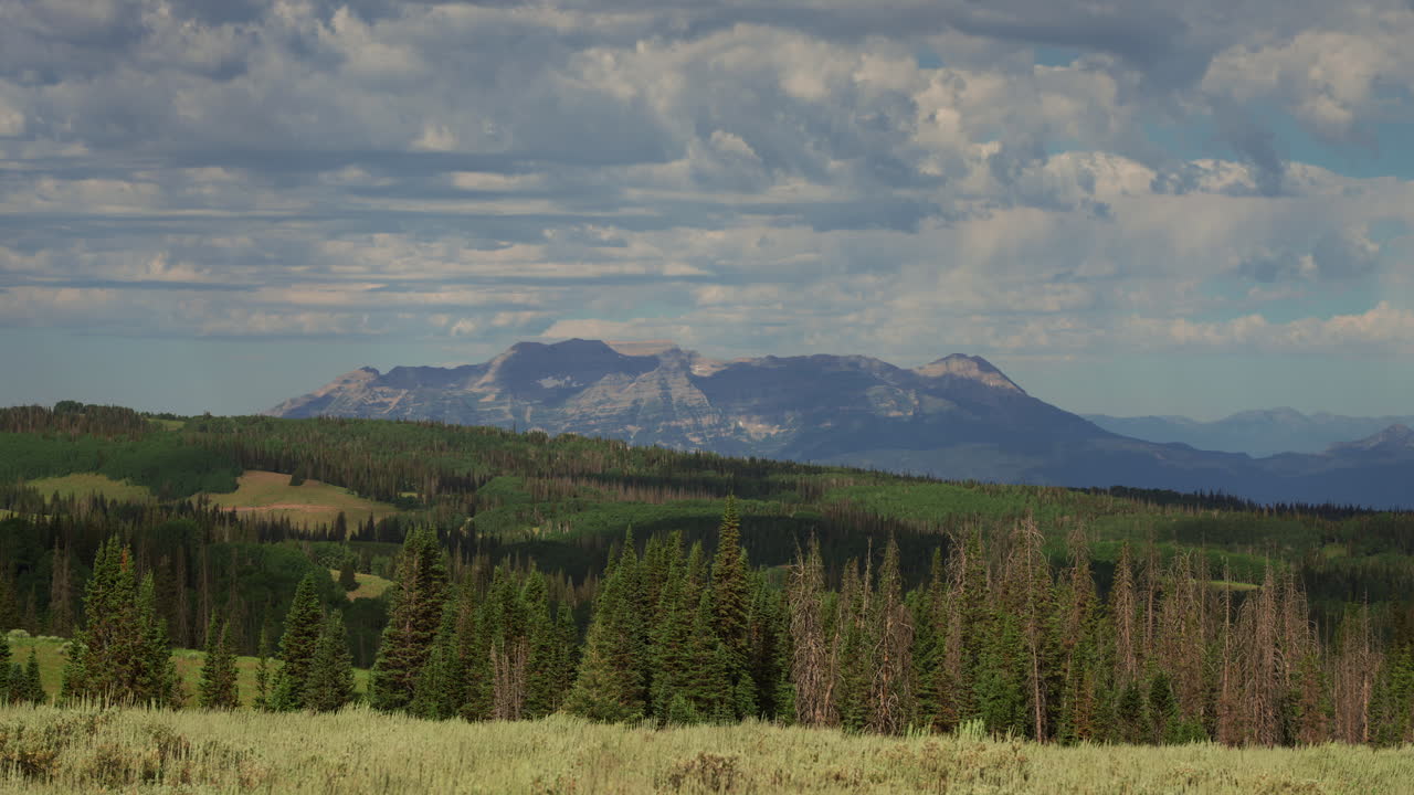 Molnlandskap över täta barrträd med Mount Timpanogos i bakgrunden i Utah. Timelapse