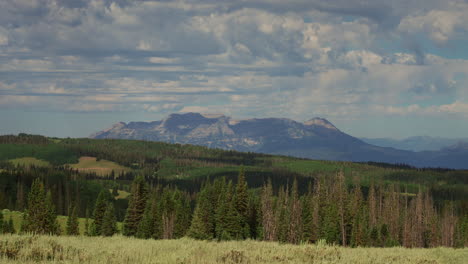 cloudscape over dense conifer trees with mount timpanogos in the background in utah. timelapse