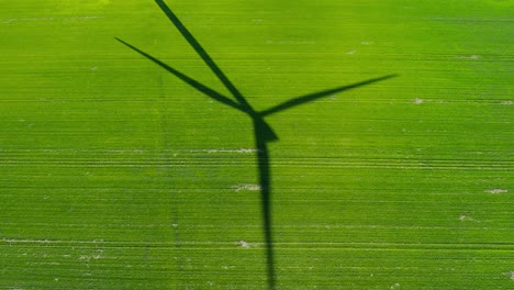 shadow of a wind turbine