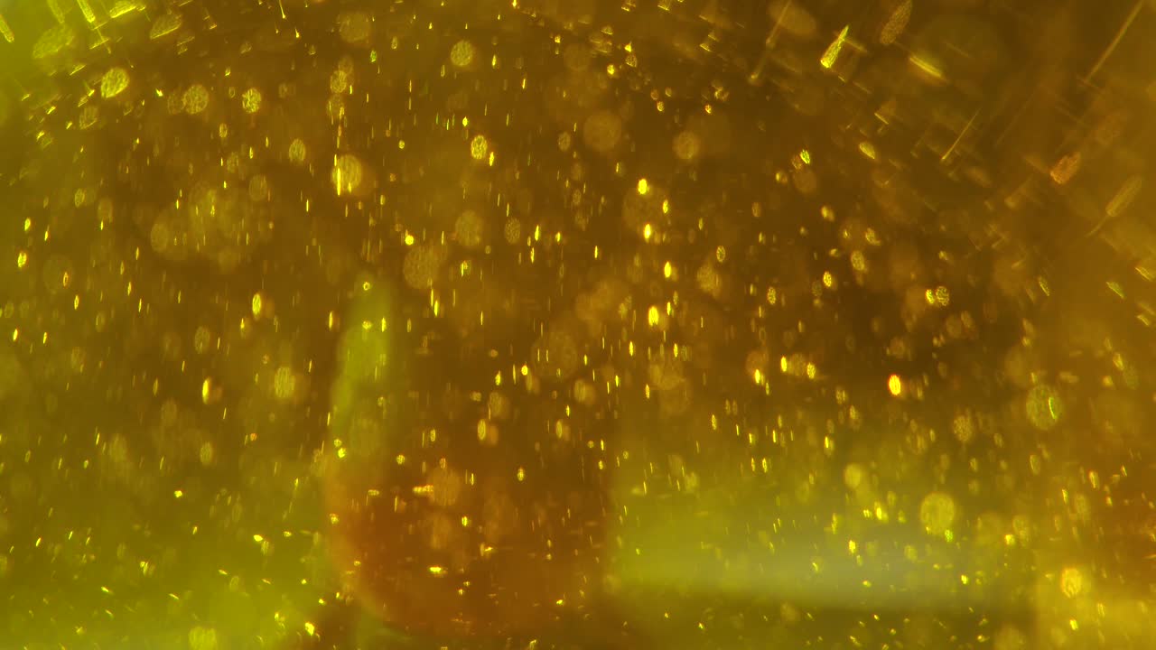 테이블 위에 노란 해바라기 기름 병