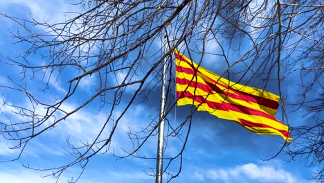 Flag-Of-Catalonia-Waving-In-The-Air-Behind-The-Bare-Tree-Branches-In-Catalonia,-Spain---low-angle-shot