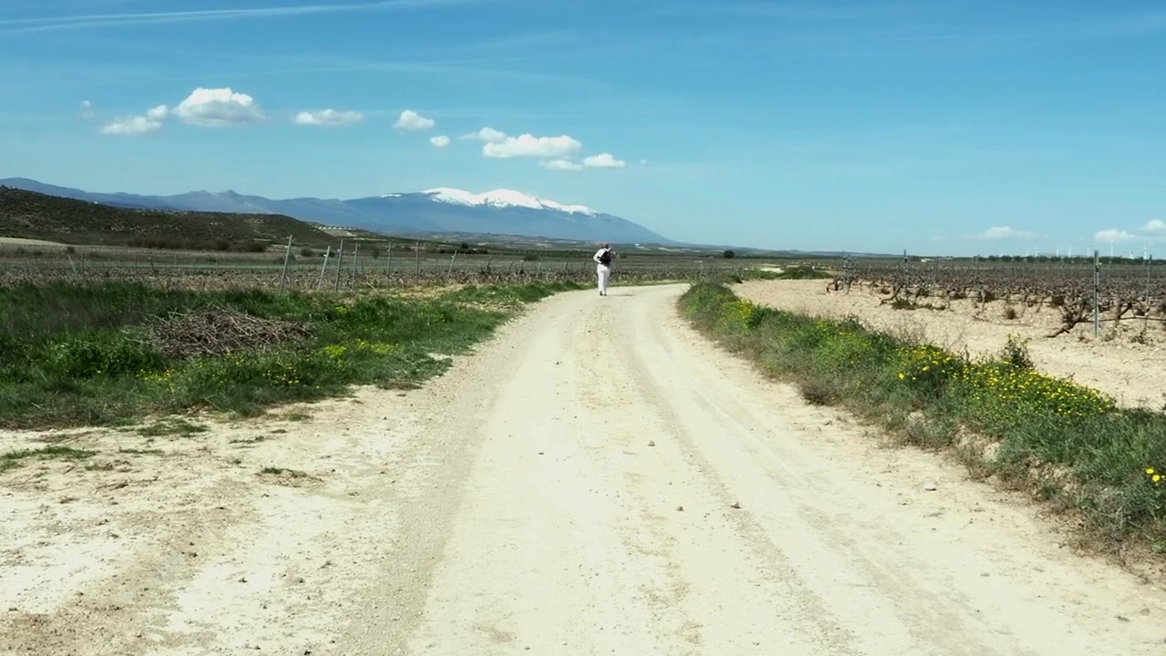 Una mujer caminando por un camino blanco a través de viñedos españoles con una montaña nevada al frente.