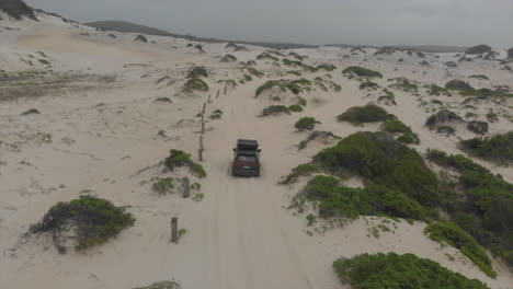 vehicle driving around sandy beach with grassy dunes