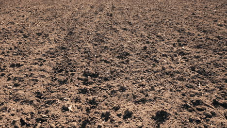 freshly harrowed agricultural field ready for seeding season, drone footage