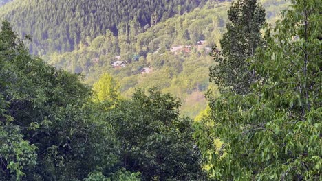 explore the untouched beauty of rural india and farmers land, nature beauty, hills, green fields with village life in forest area and timeless travel escapes, sstktravel
