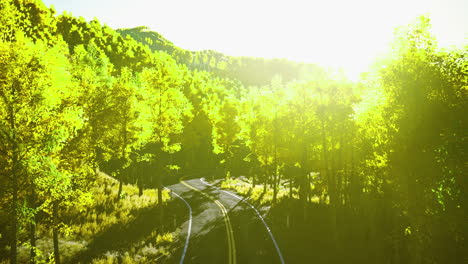 scenic winding road through lush green forest bathed in sunlight