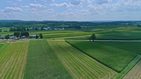 An-Aerial-Traveling-View-of-Corn-Fields-and-Harvesting-Crops,-with-Patches-of-Color-on-a-Beautiful-Summer-Day