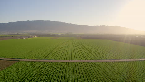 Toma-Aerea-De-La-Finca-En-El-Valle-De-Salinas,-Ca