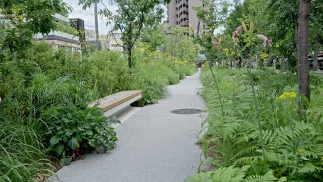 a serene pedestrian path winds through a city park with a modern bench, surrounded by lush plants and flowers