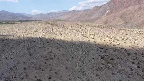 Sparse-Vegetation-in-Badlands-and-Mountain-Background,-Pull-Back-Aerial