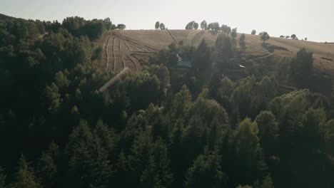 Volando-Hacia-Adelante-Con-Un-Dron-De-Carreras-Fpv-Hacia-Un-Prado-Con-Líneas-De-Heno-Seco-Y-Montones-De-Heno-En-Un-Paisaje-Pintoresco-Con-Bosque-De-Abetos-En-El-Fondo