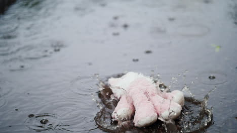 la liebre rosa de peluche cae en un charco está lloviendo mucho