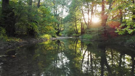 niedriger drohnenflug über einem kleinen fluss bei sonnenuntergang-5