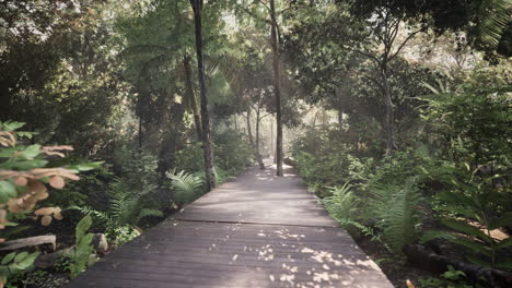 camino de cubierta de madera en el bosque