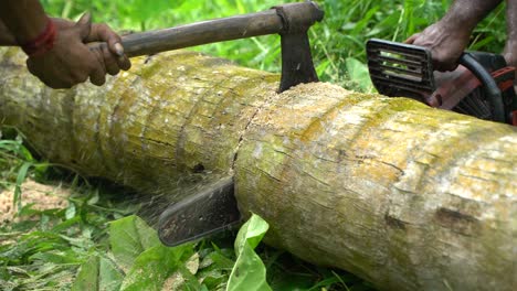 trees are being felled with machines and axes