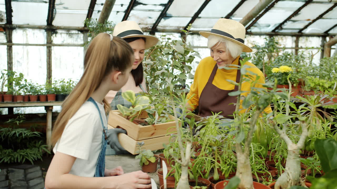Family Time in the Greenhouse