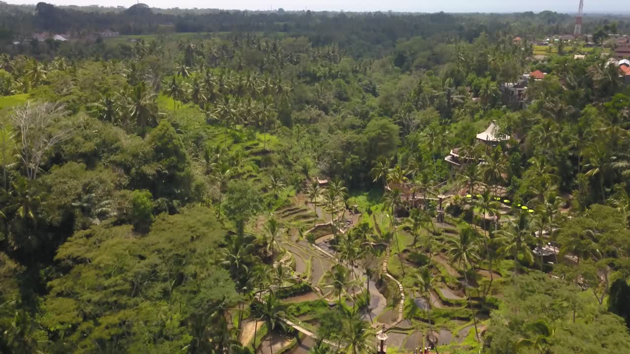 Aerial view of the forrest in Tegallalang on a sunny day, Ubud, Bali Indonesia