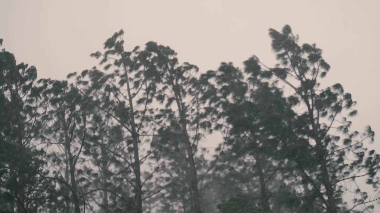 An outdoor footage of heavy rainfall