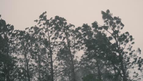 an outdoor footage of heavy rainfall