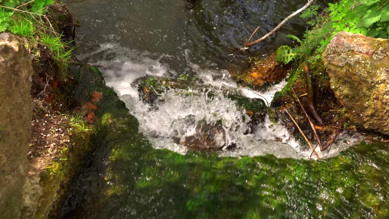 piccola cascata nel parco