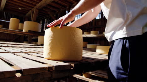 cheese making process in a barn